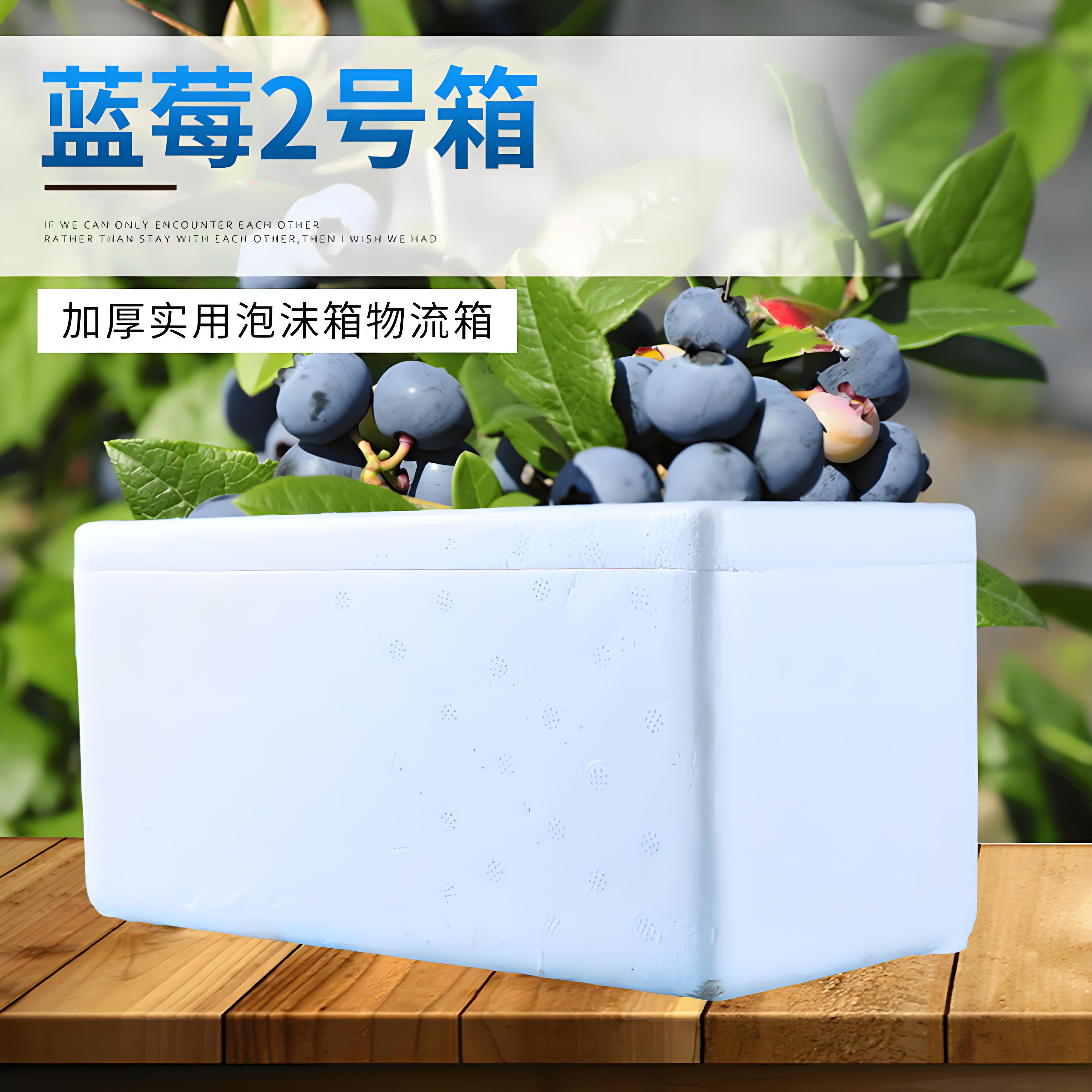 蓝莓泡沫箱
