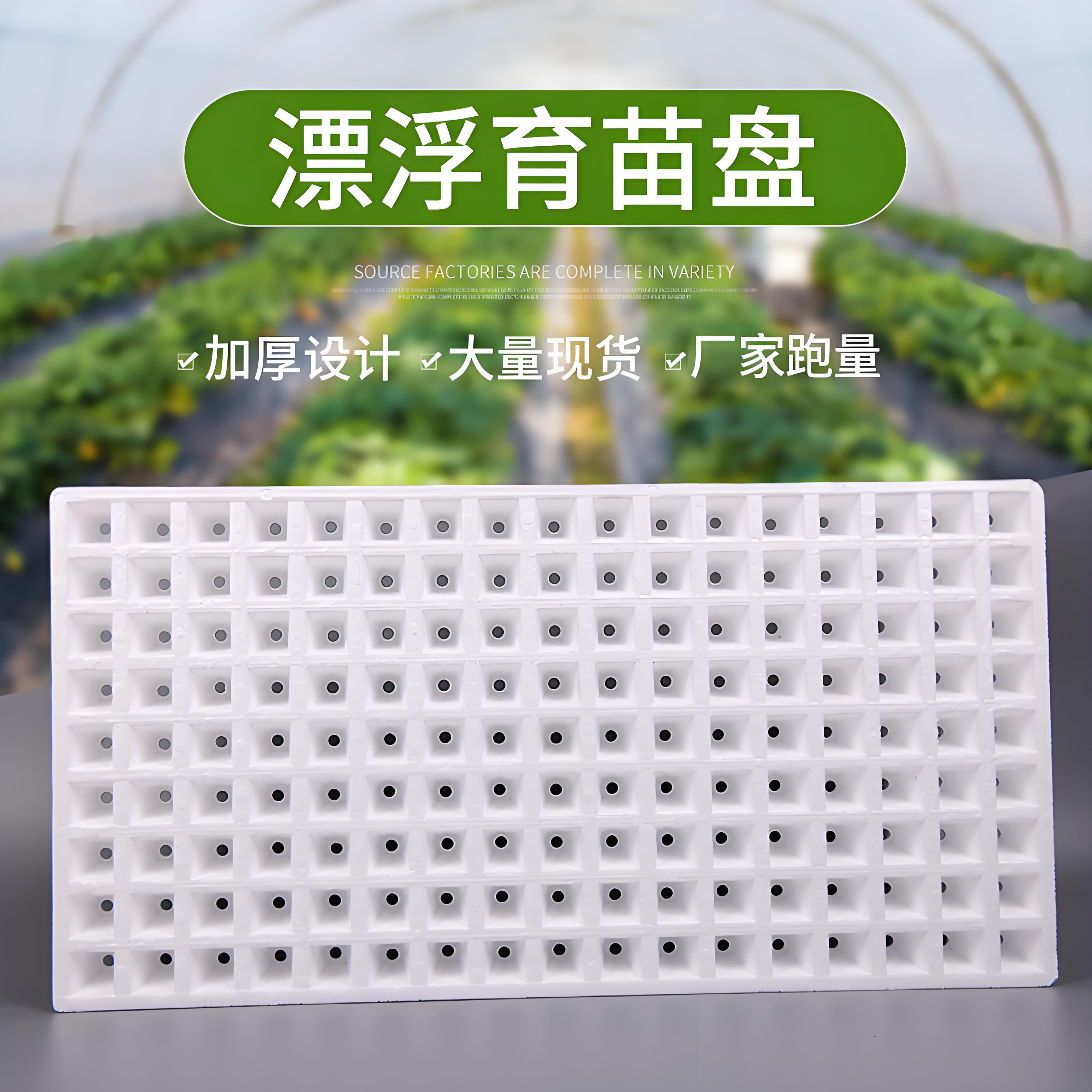136孔漂盘育苗盘