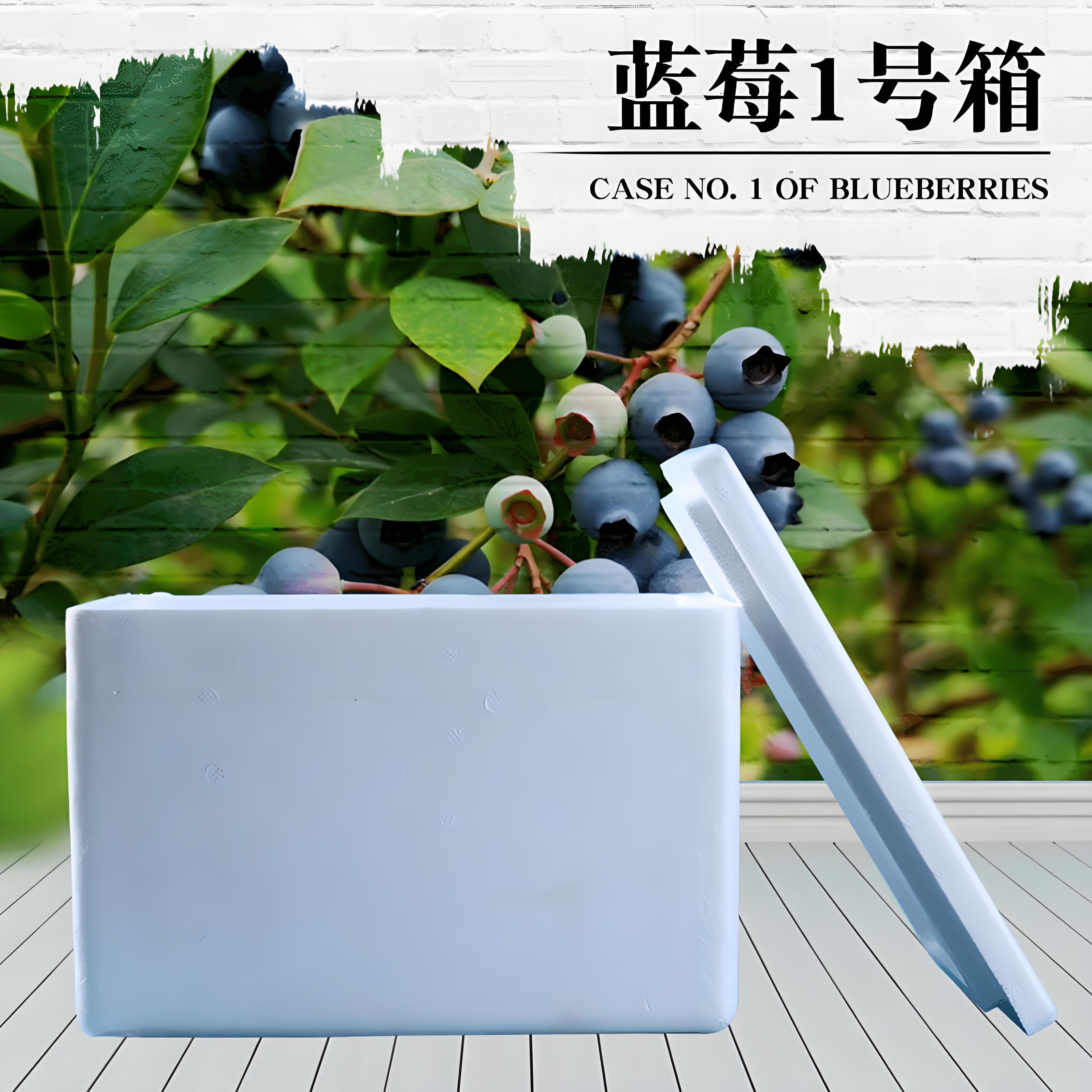 蓝莓泡沫箱