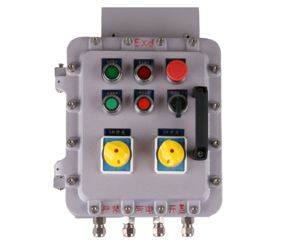 BXM The explosion-proof distribution box