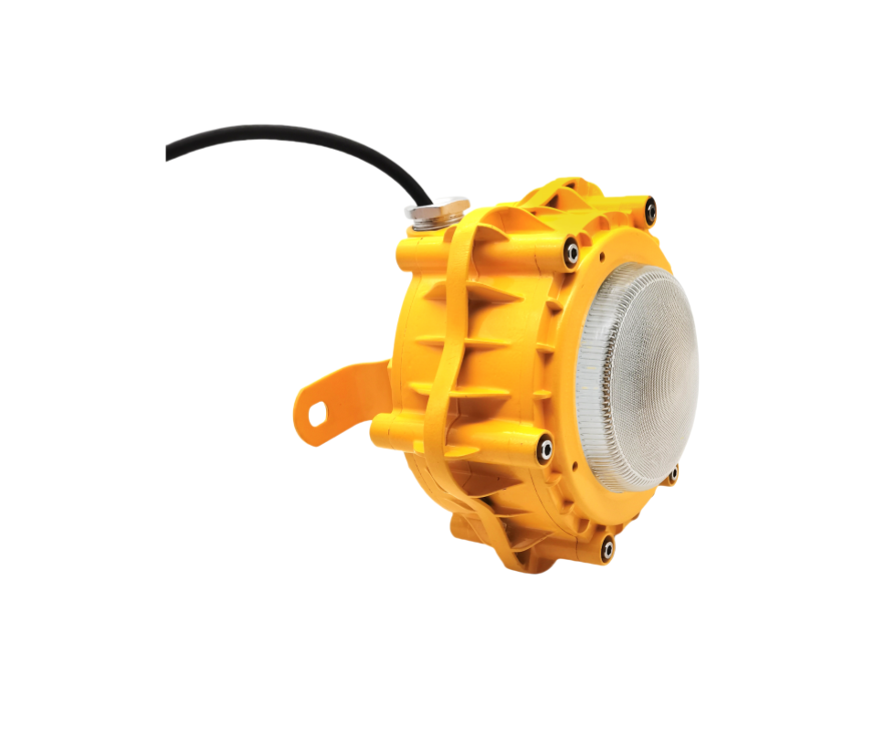 Explosion proof ceiling light