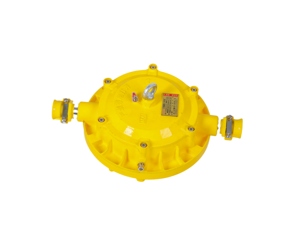 LED induction light
