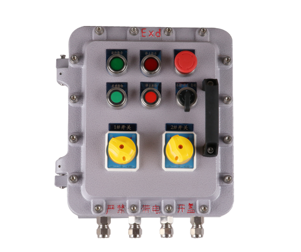 BXM The explosion-proof distribution box