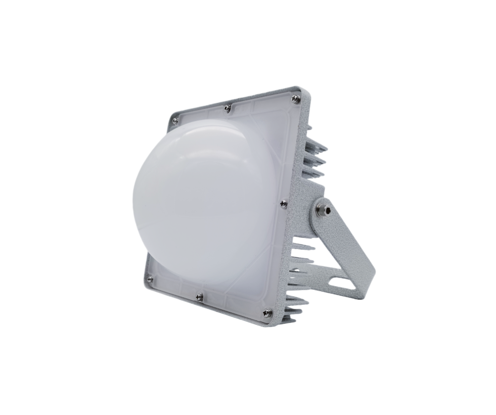 Explosion proof lamp