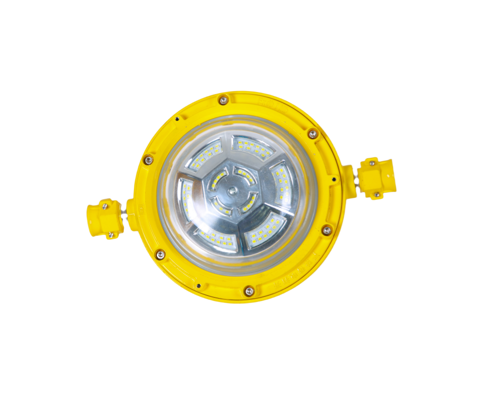LED induction light
