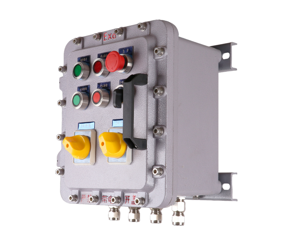 BXM The explosion-proof distribution box