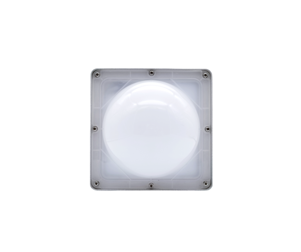 Explosion proof lamp