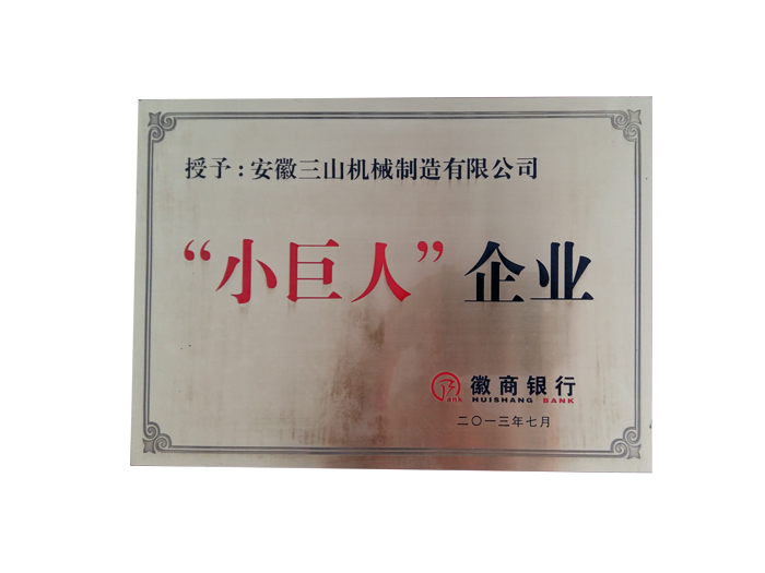 银行小巨人企业