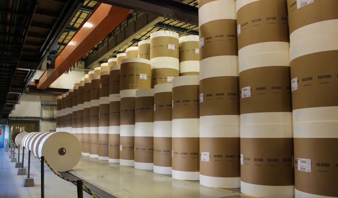 Paper Packaging Price Increase 2026: Supply Chain Guide