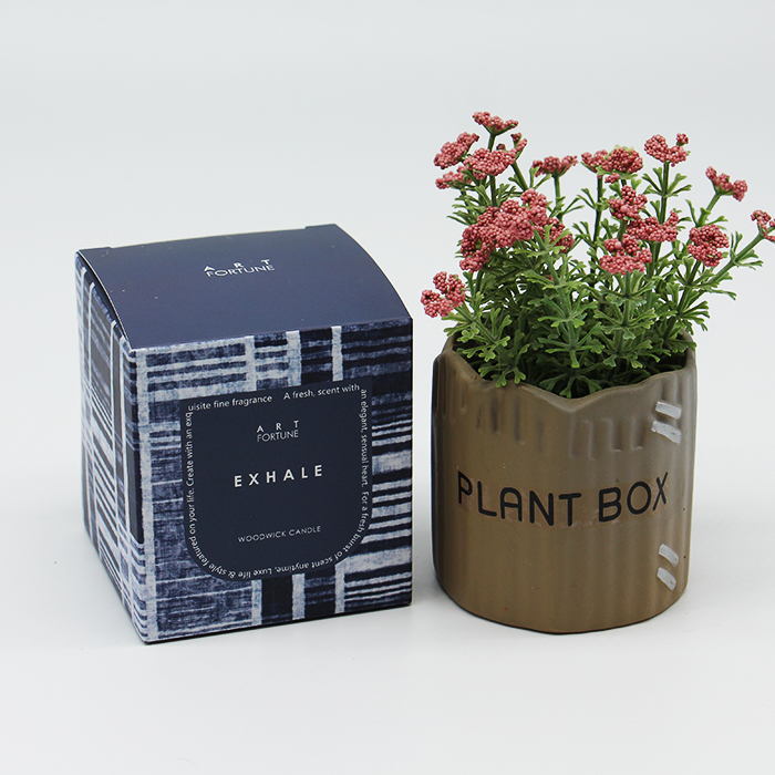 Cosmetics paper box