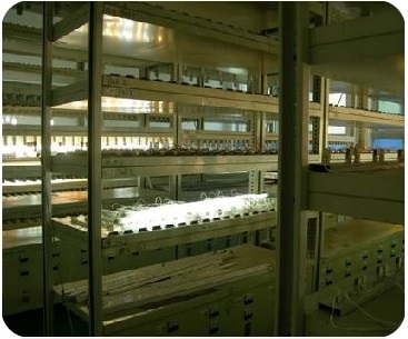 悦谱光电今日说说全光谱植物生长灯原理特点与优势