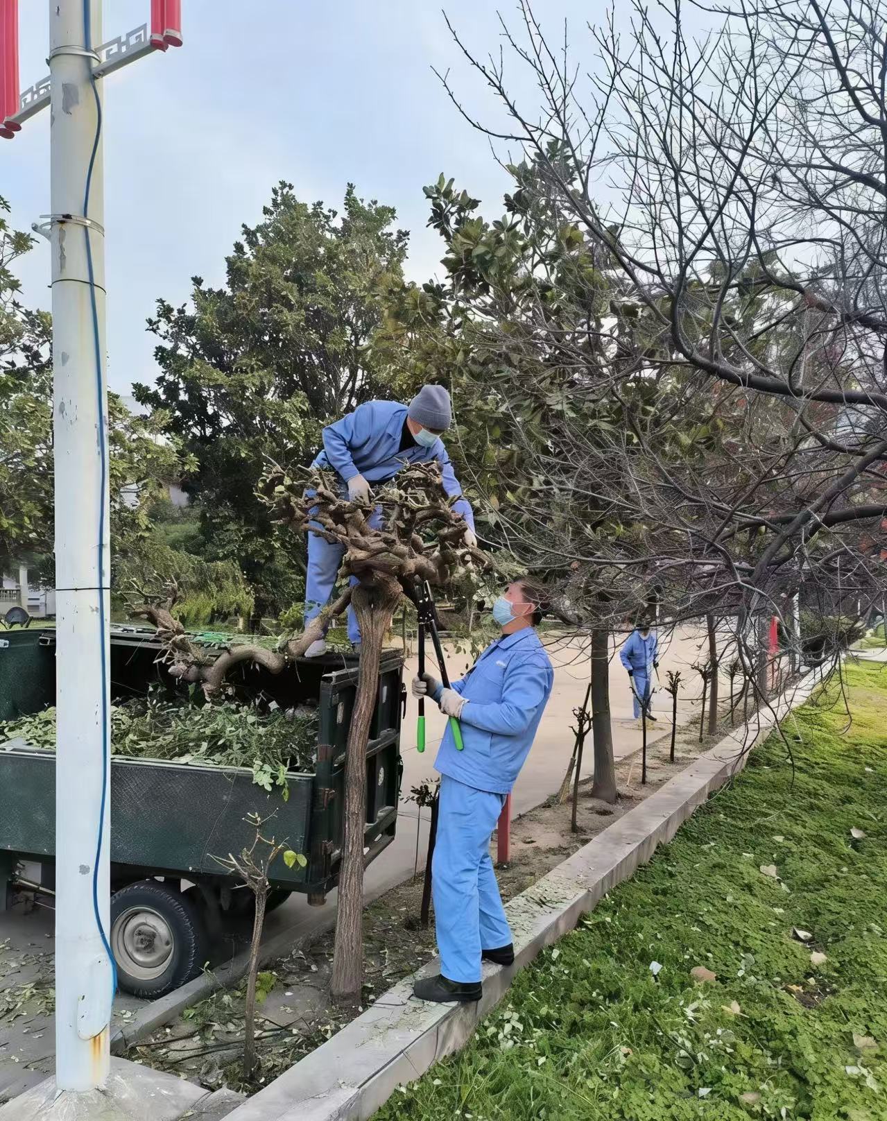 微信图片_20261006210602_8_208