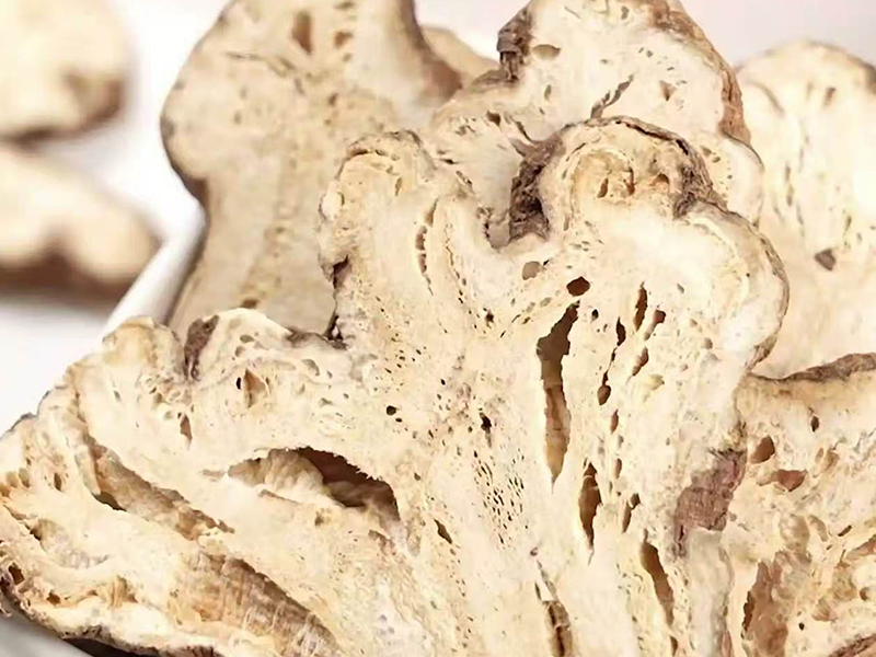 白术