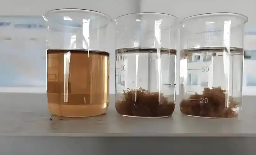 脱色用图片