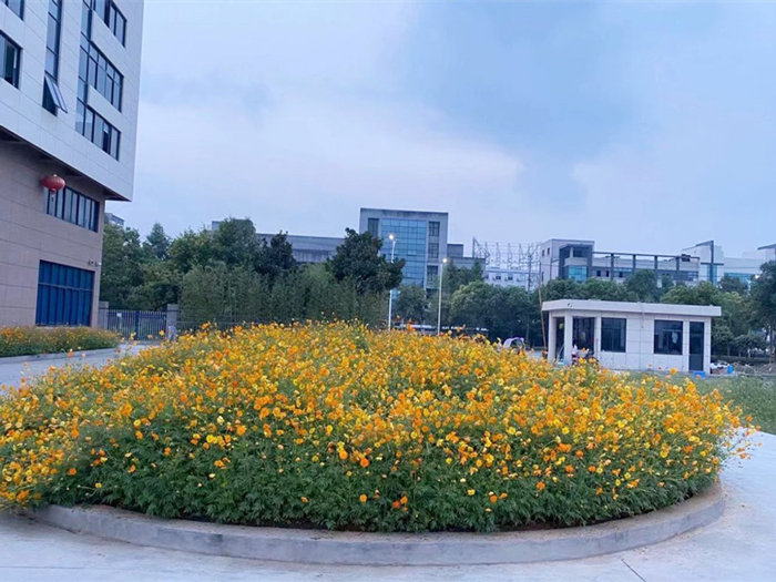 环境-(2)