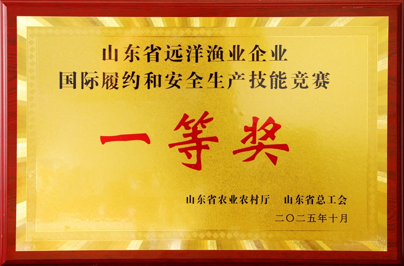 2.一等奖奖牌