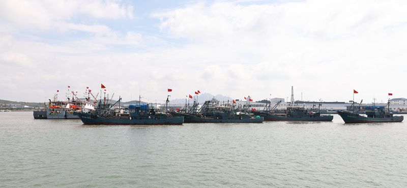 d1aa0a9306ada94312ab8d0225a2f4cd4a4b5487