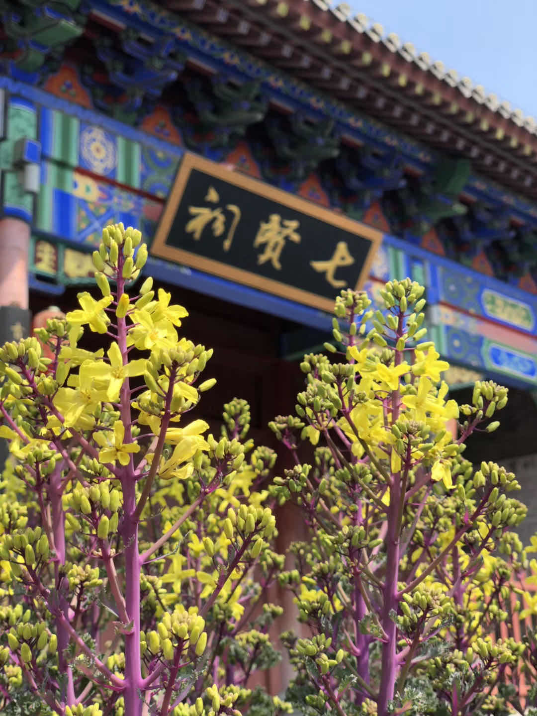 微信图片_20200415153711