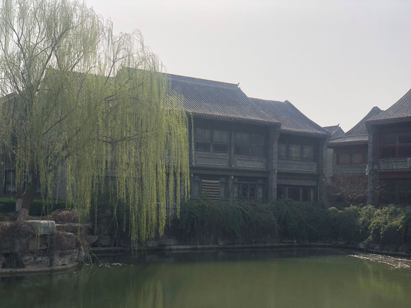 微信图片_20200415155429