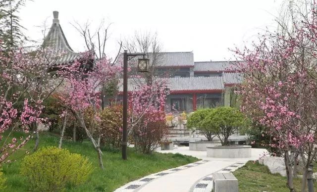 微信图片_20200415154935