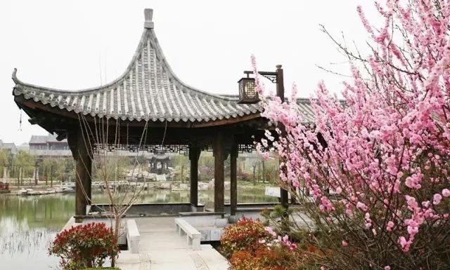 微信图片_20200415154950