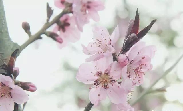 微信图片_20200415154942