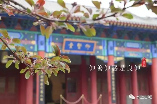 微信图片_20200415153707