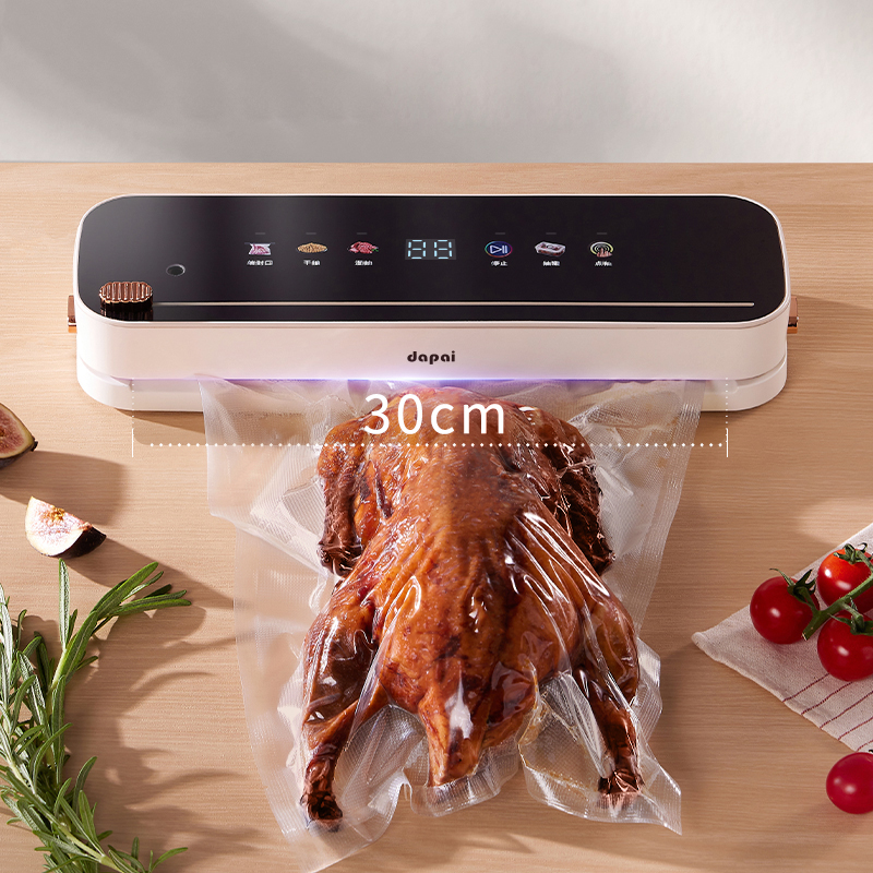 DS2400 VACUUM SEALER