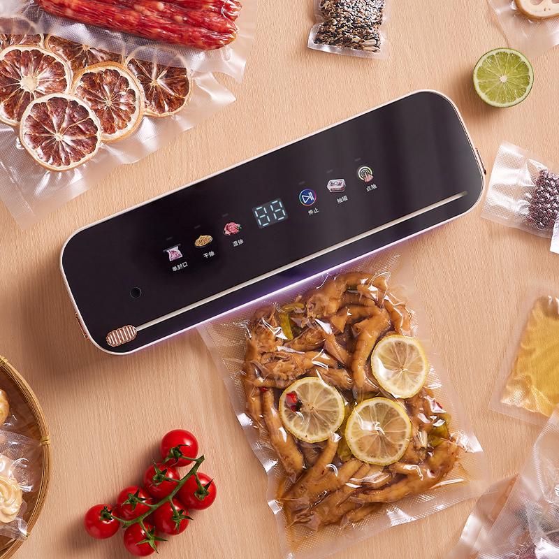 DS2400 VACUUM SEALER