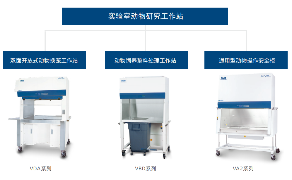 实验室动物研究工作站详情