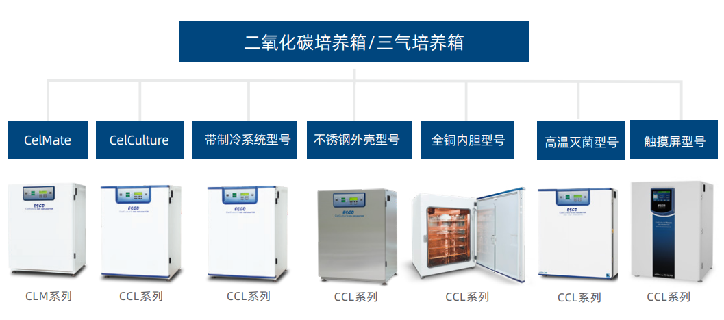二氧化碳培养箱 三气培养箱详情