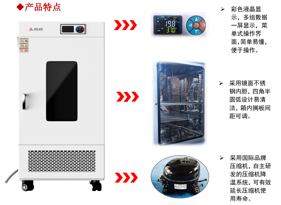 MJ 系列霉菌培养箱详情