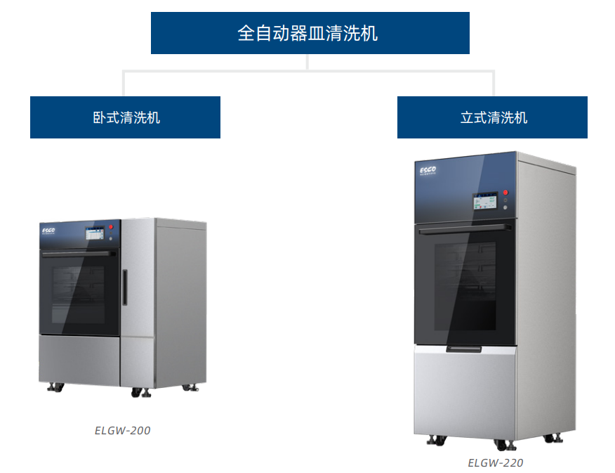 全自动器皿清洗机详情