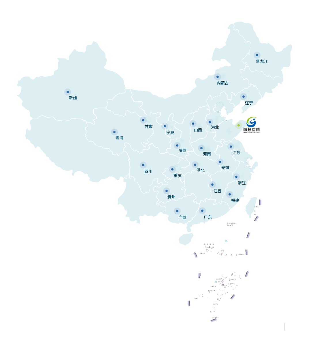 山东国越医药科技有限公司