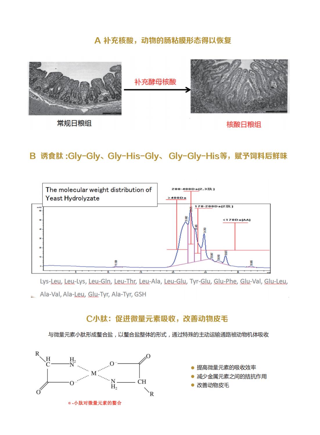 宠物酵母水解物