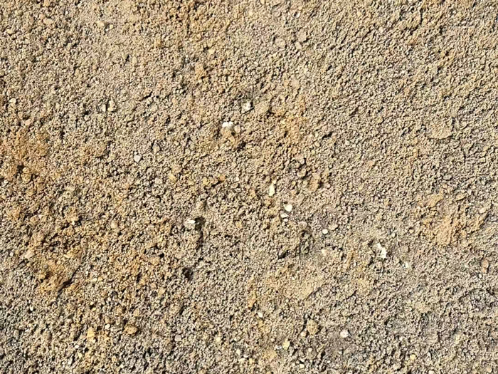黄沙s1