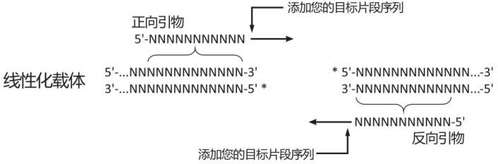 无缝克隆2