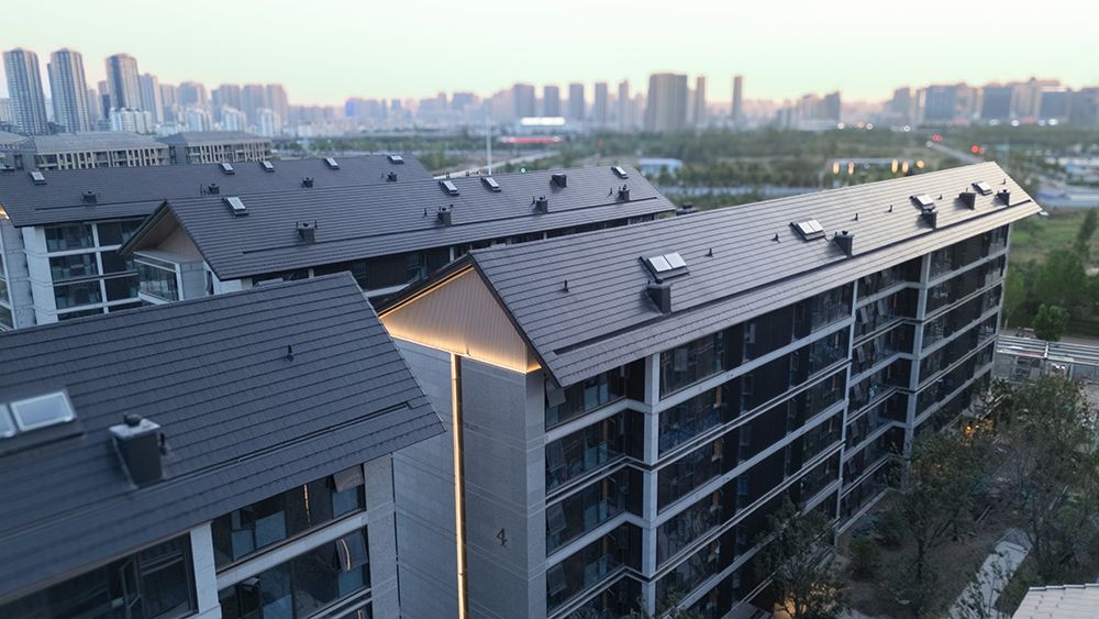 DJI_20241001044141_0807_D 拷贝
