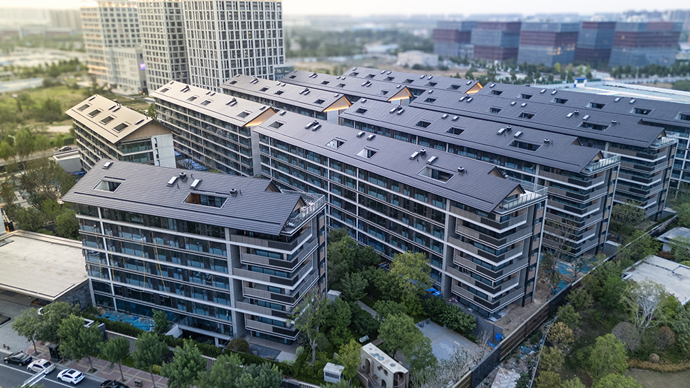 DJI_20241001044548_0815_D-恢复的