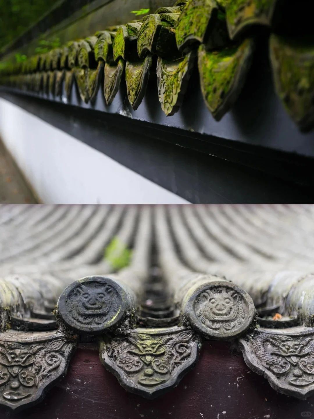 微信图片_20250523082536