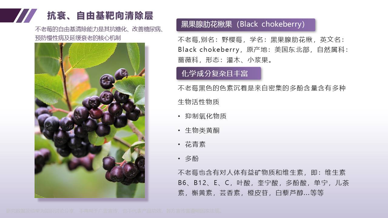 幻灯片9
