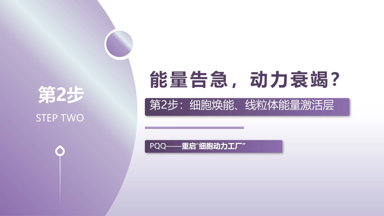幻灯片17