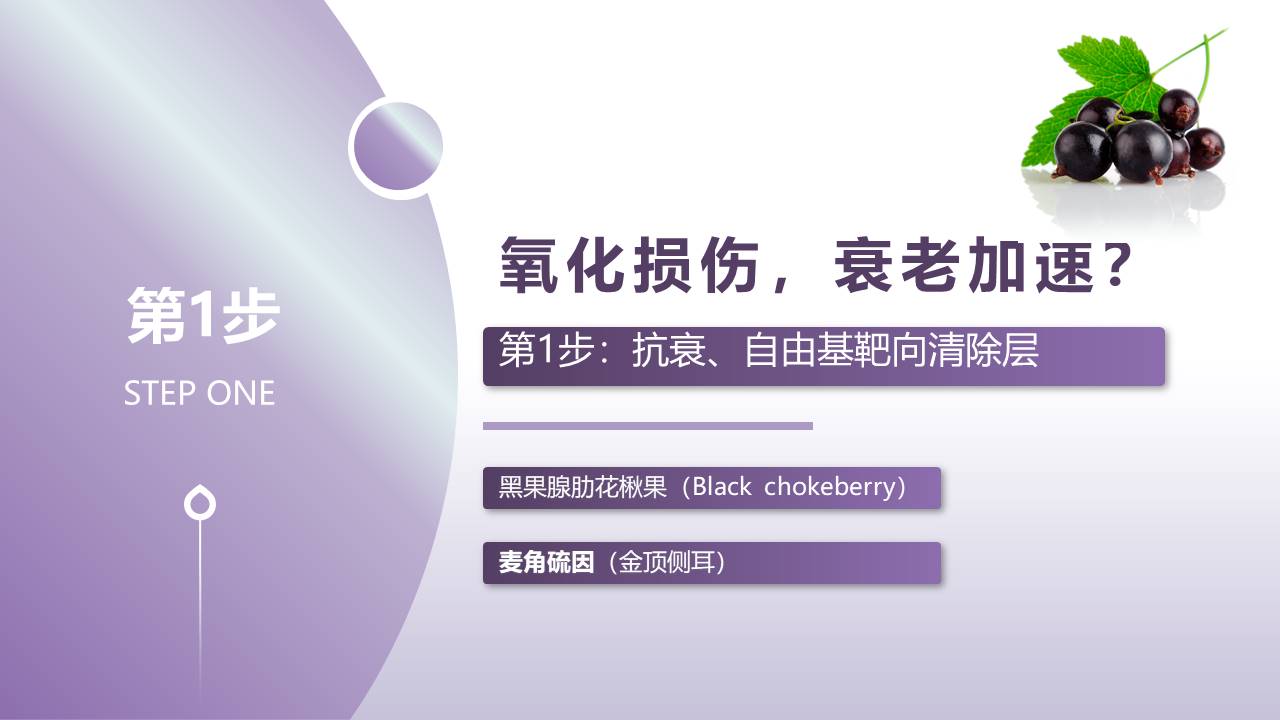 幻灯片8