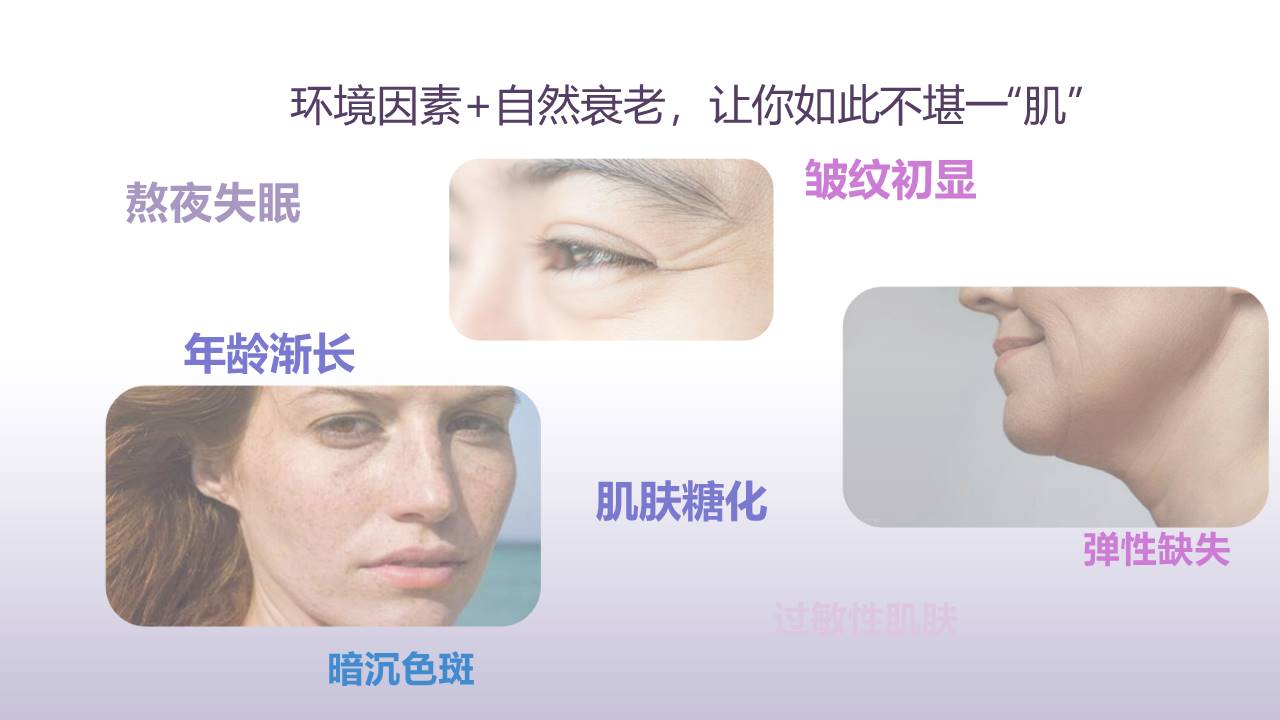 幻灯片2