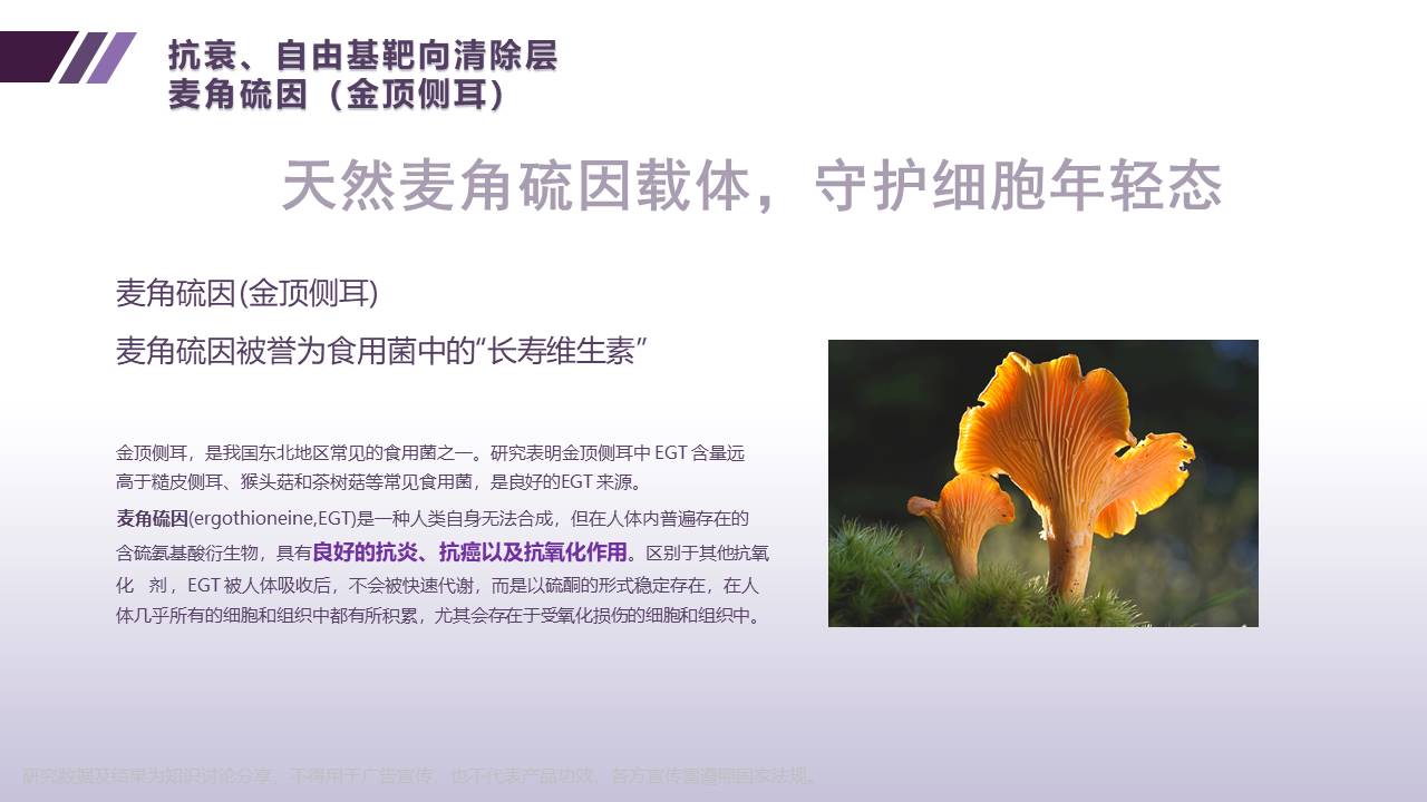 幻灯片15