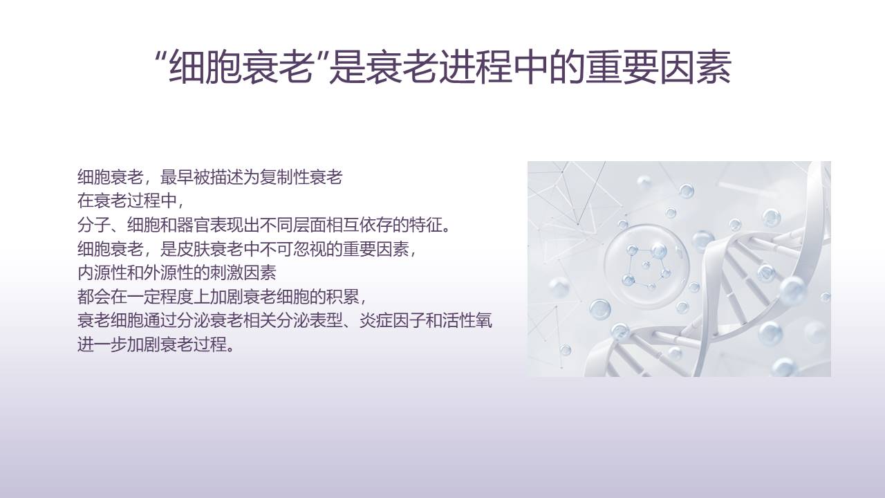 幻灯片3