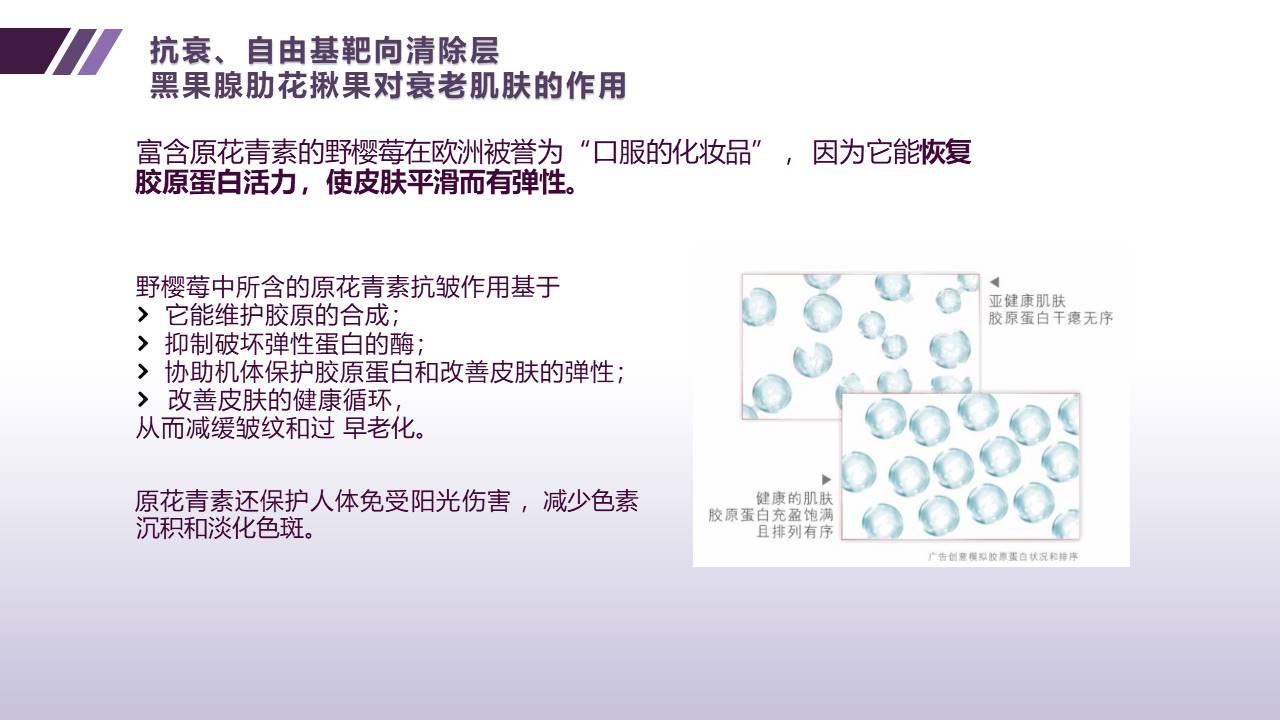 幻灯片11