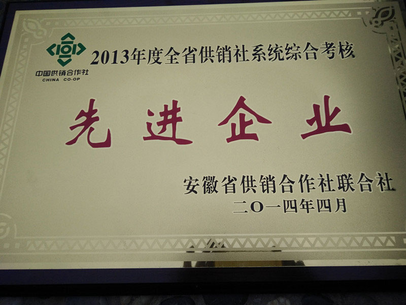安徽省先进企业-1