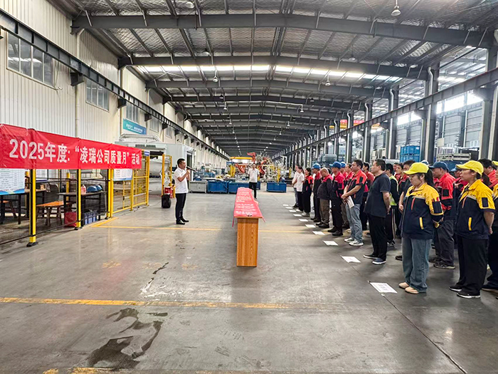 2025年度“凌瑞公司质量月”活动