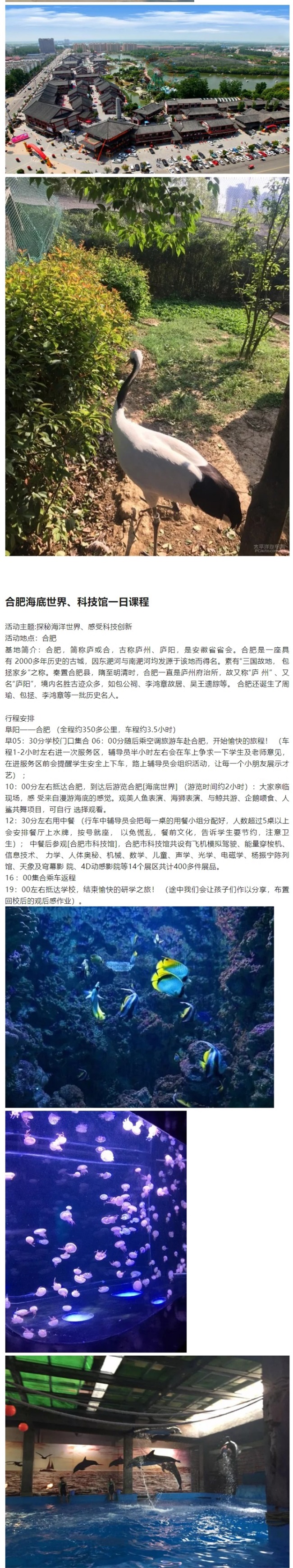 一日游研学系列方案_04